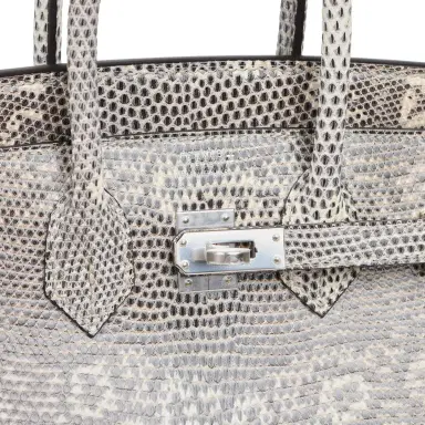HERMÈS Hermes Birkin 25 Ombre Shiny Varanus Salvator Lizard Palladium Hardware | Thumbnail 7 HERMÈS Hermes Birkin 25 Ombre Shiny Varanus Salvator Lizard Palladium Hardware | Thumbnail 7