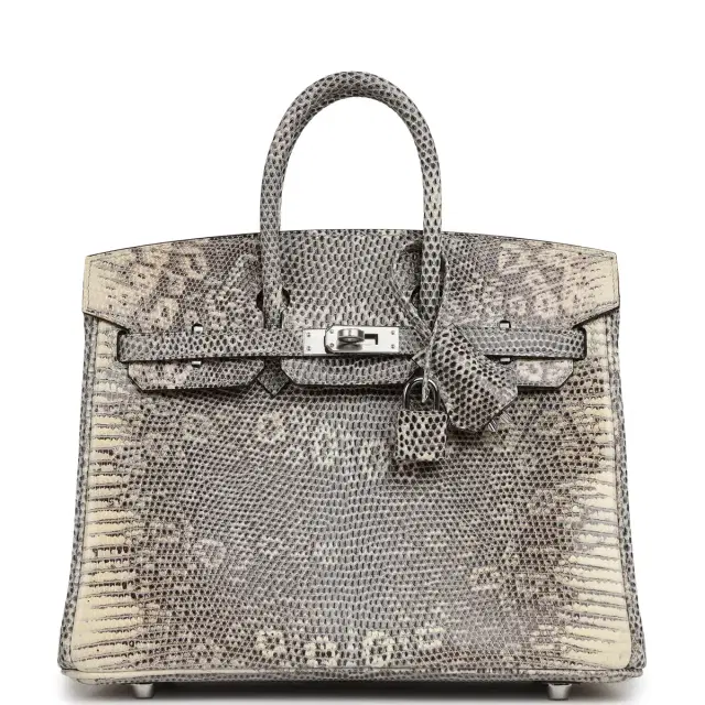 HERMÈS Hermes Birkin 25 Ombre Shiny Varanus Salvator Lizard Palladium Hardware