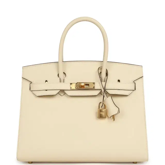 HERMÈS Hermes Birkin Sellier 30 Nata Epsom Gold Hardware