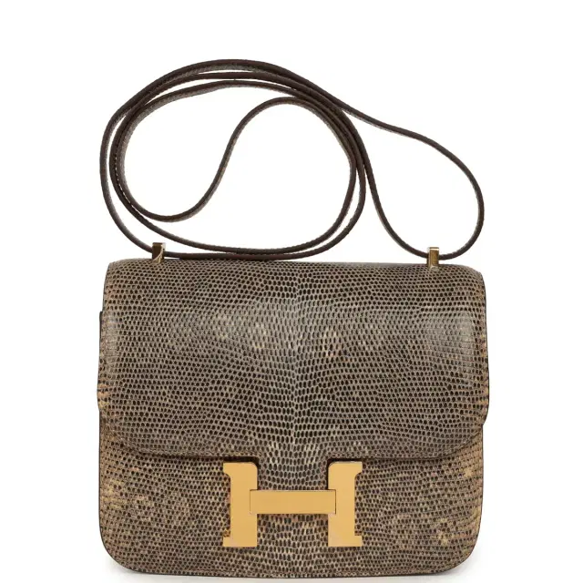 HERMÈS Hermes Constance 18 Ombre Shiny Varanus Salvator Lizard Gold Hardware