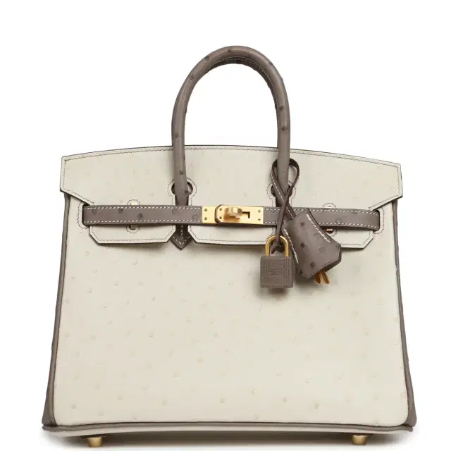 HERMÈS Hermes Special Order (HSS) Birkin 25 Beton, Gris Tourterelle Ostrich Brushed Gold Hardware