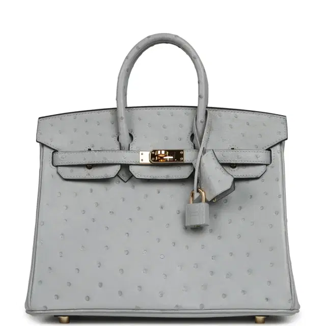 HERMÈS Pre-owned Hermes Birkin 25 Bleu Glacier Ostrich Gold Hardware