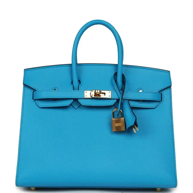 HERMÈS Pre-owned Hermes Birkin Sellier 25 Bleu Frida Epsom Gold Hardware