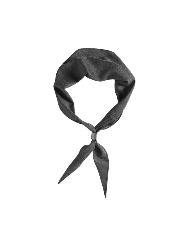 Women's Virgin Wool Organza Necktie with Monili