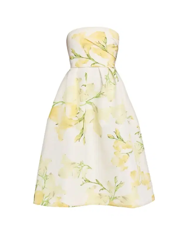 Monique Lhuillier Strapless Snapdragon Print Silk Faille Midi Dress