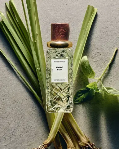 Bottega Veneta Always Now Eau de Parfum, 3.4 oz. | Thumbnail 4 Bottega Veneta Always Now Eau de Parfum, 3.4 oz. | Thumbnail 4