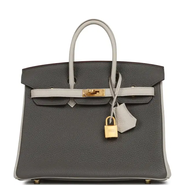 HERMÈS Hermes Special Order (HSS) Birkin 25 Etain, Craie Togo Brushed Gold Hardware
