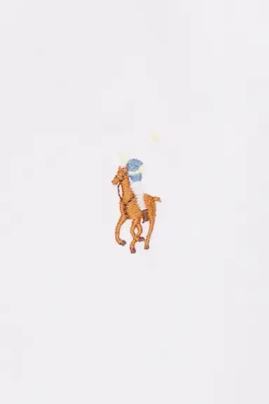 Polo Ralph Lauren Pinpoint Dress Shirt | Thumbnail 5