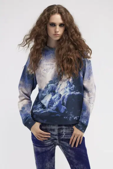 Roberto Cavalli Sweatshirt with Denim Wild Leda print | Thumbnail 2