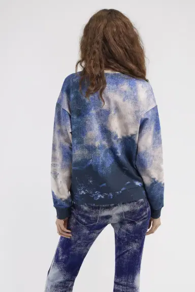 Roberto Cavalli Sweatshirt with Denim Wild Leda print | Thumbnail 3