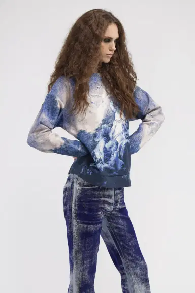 Roberto Cavalli Sweatshirt with Denim Wild Leda print | Thumbnail 4