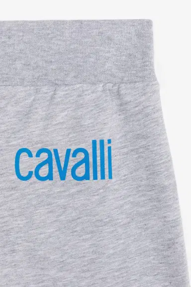 Roberto Cavalli Logo-Print Shorts | Thumbnail 3