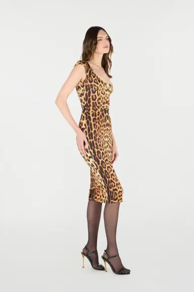 Roberto Cavalli Midi Dress With Jaguar Skin Print | Thumbnail 2