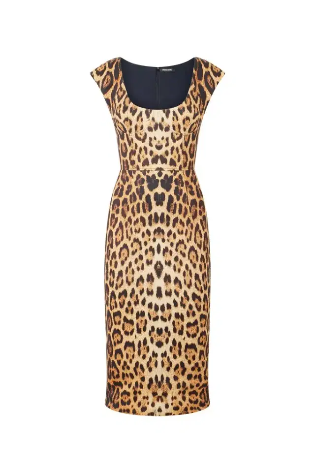 Roberto Cavalli Midi Dress With Jaguar Skin Print