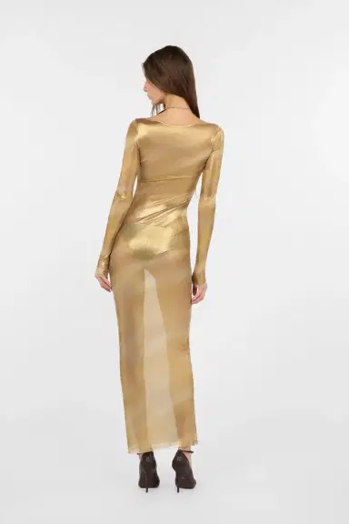 Roberto Cavalli Sheer Nilo Print Maxi Dress | Thumbnail 3