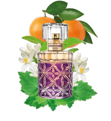 Roberto Cavalli Florence Eau De Parfum 75 ml | Thumbnail 5