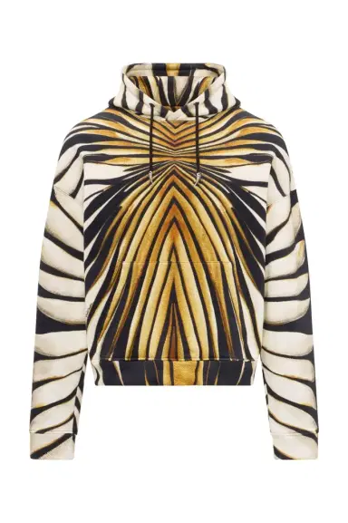 Roberto Cavalli Ray Of Gold Print Cotton Sweatshirt | Thumbnail 1