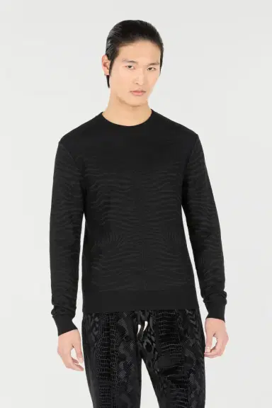 Roberto Cavalli Sweater With Zebra Pattern | Thumbnail 2