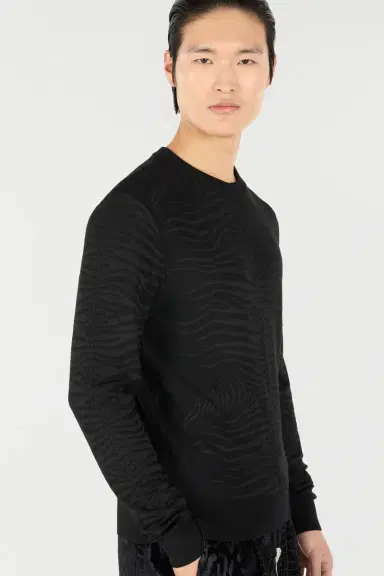 Roberto Cavalli Sweater With Zebra Pattern | Thumbnail 6