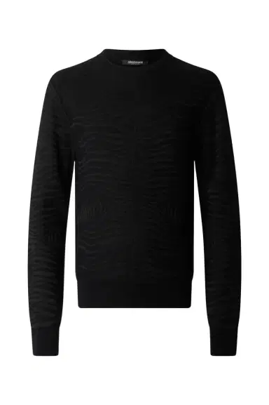 Roberto Cavalli Sweater With Zebra Pattern | Thumbnail 1