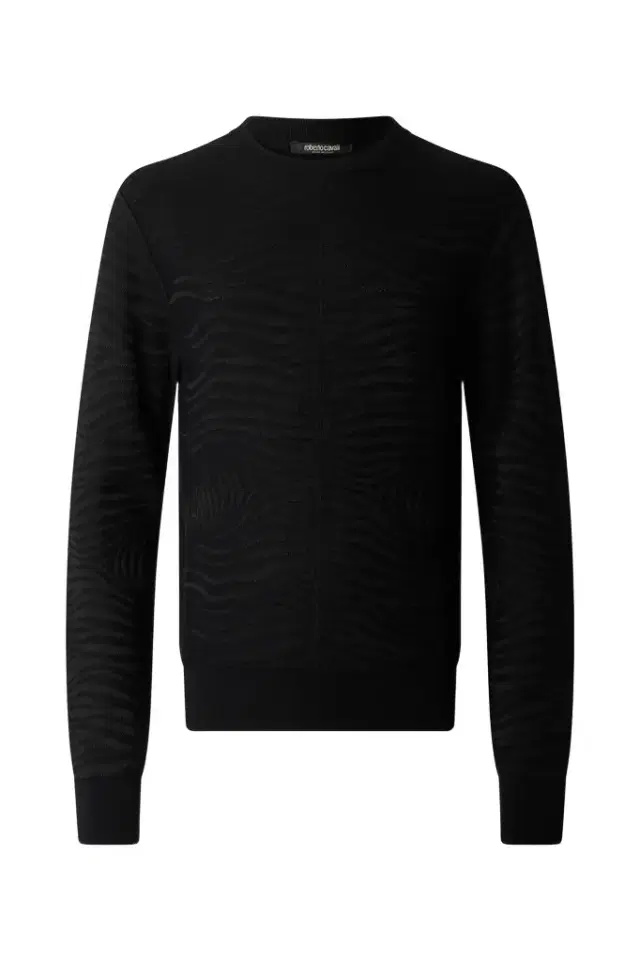 Roberto Cavalli Sweater With Zebra Pattern