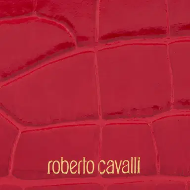 Roberto Cavalli Roar Mini bag in Leather | Thumbnail 4