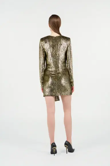 Roberto Cavalli Dress with Fil Coupé Leopard print | Thumbnail 3