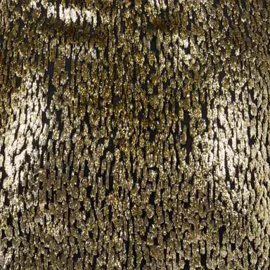Roberto Cavalli Dress with Fil Coupé Leopard print | Thumbnail 4
