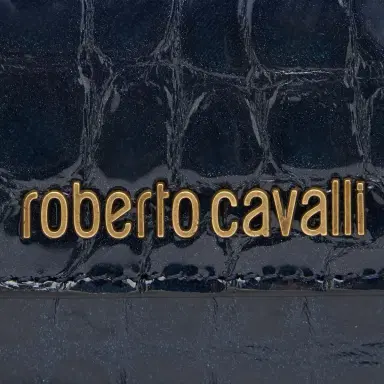 Roberto Cavalli Cardholder With Crocodile Print | Thumbnail 3