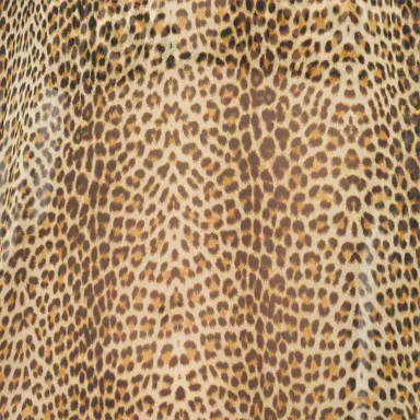 Roberto Cavalli Baby Jaguar Silk Kaftan | Thumbnail 4
