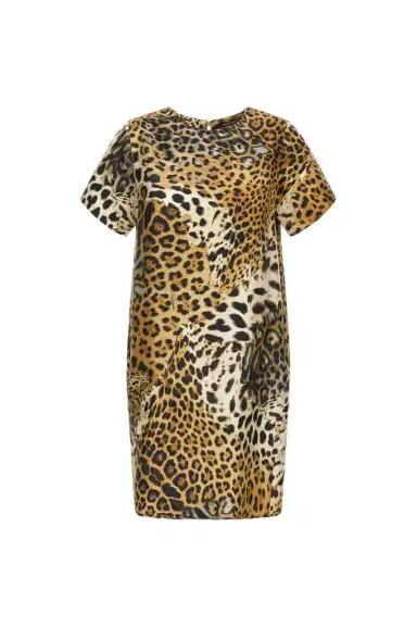 Roberto Cavalli Jaguar Skin print dress | Thumbnail 1