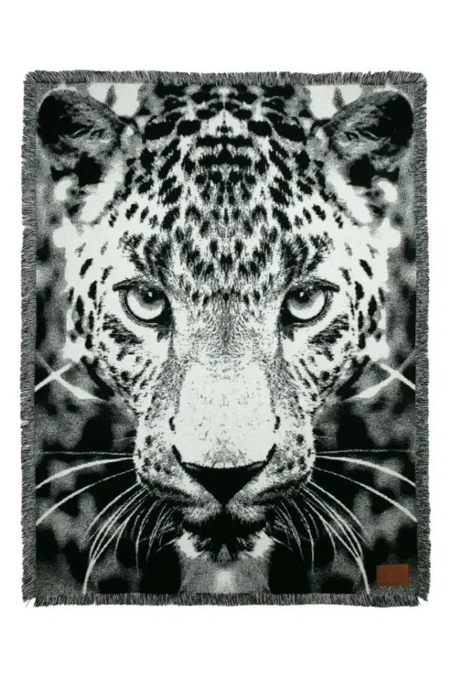 Roberto Cavalli Jacquard Plaid with Leopard