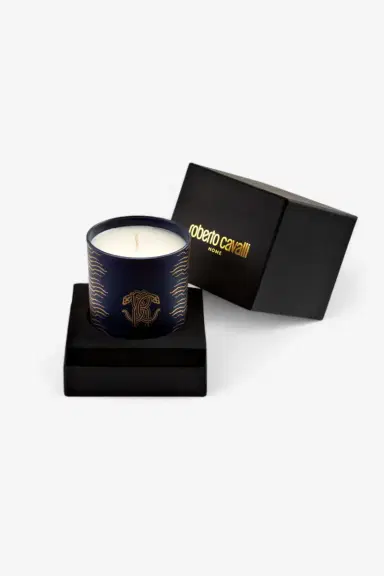 Roberto Cavalli Deep Ocean Scented Candle 220 G | Thumbnail 2