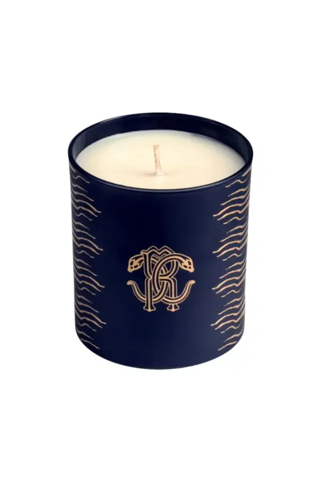 Roberto Cavalli Deep Ocean Scented Candle 220 G