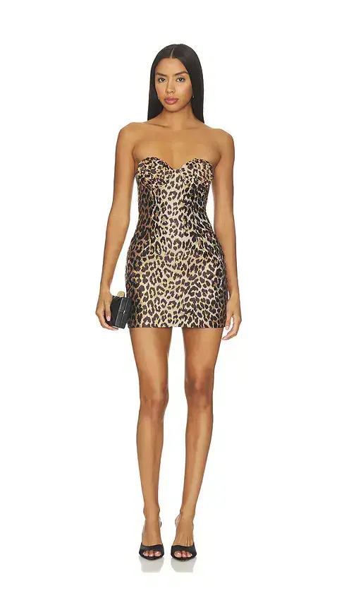 Lovers and Friends Tate Mini Dress