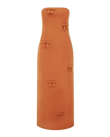 LEO LIN Rayna Bow-Embellished Bustier Column Maxi Dress | Thumbnail 1 LEO LIN Rayna Bow-Embellished Bustier Column Maxi Dress | Thumbnail 1
