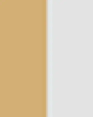 Spinelli Kilcollin Calliope Silver and Gold Ring | Thumbnail 3