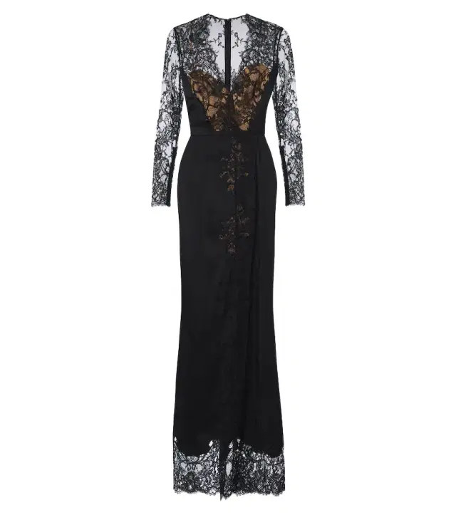 Elie Saab Lace-trimmed cotton and silk-blend gown