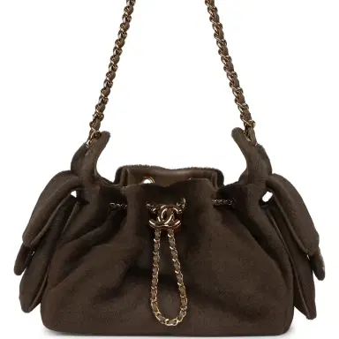 Chanel Chanel Mini 25 Hobo Bag Dark Khaki Pony Hair Gold Hardware | Thumbnail 1