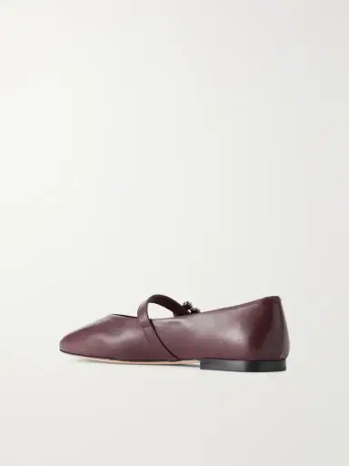 Roger Vivier Efflorescence 10 Crystal-embellished Ballet Flats | Thumbnail 3 Roger Vivier Efflorescence 10 Crystal-embellished Ballet Flats | Thumbnail 3