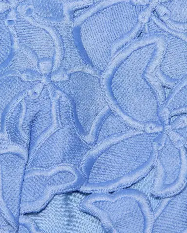 Significant Other Idette Embroidered Lace Top | Thumbnail 6 Significant Other Idette Embroidered Lace Top | Thumbnail 6