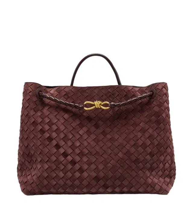 Bottega Veneta Andiamo Large suede tote bag