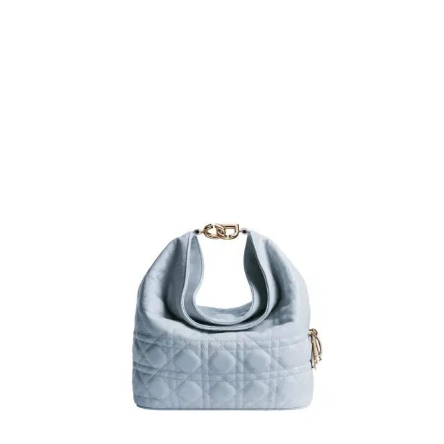 Dior Small Dior Toujours Hobo Bag