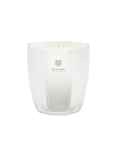 DR. VRANJES FIRENZE Ginger Lime Candle | Thumbnail 1 DR. VRANJES FIRENZE Ginger Lime Candle | Thumbnail 1