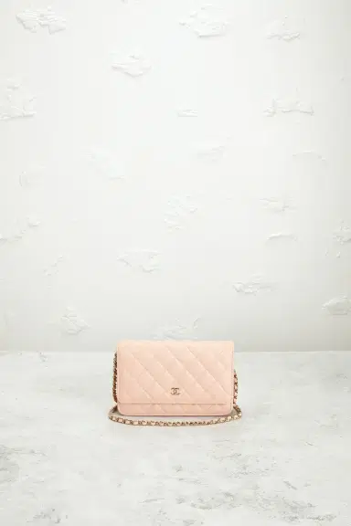 Chanel Chanel Calfskin Classic Wallet On Chain | Thumbnail 2