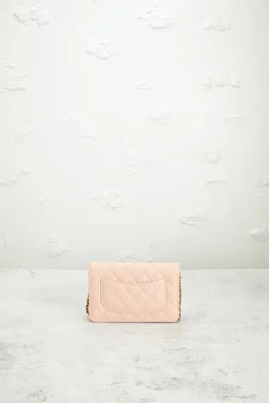 Chanel Chanel Calfskin Classic Wallet On Chain | Thumbnail 3