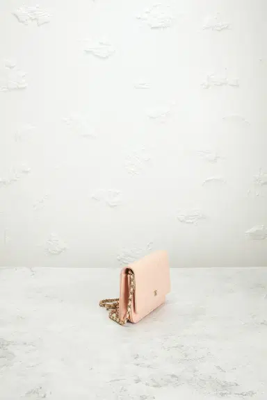 Chanel Chanel Calfskin Classic Wallet On Chain | Thumbnail 4