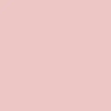 Anna-Karin Karlsson La Vie En Rose Sunglasses | Thumbnail 4