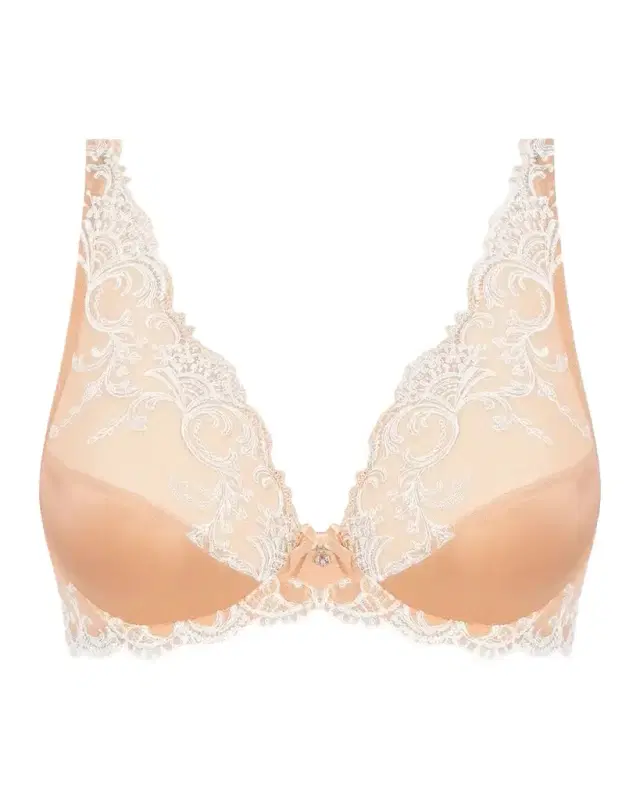 Lise Charmel Splendeur Soie Embroidered Triangle Bra