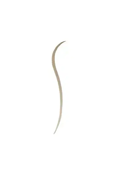 Westman Atelier Bonne Brow Defining Pencil | Thumbnail 4